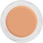 Preview: Digital Complexion Cream Foundation - 12 g - P07